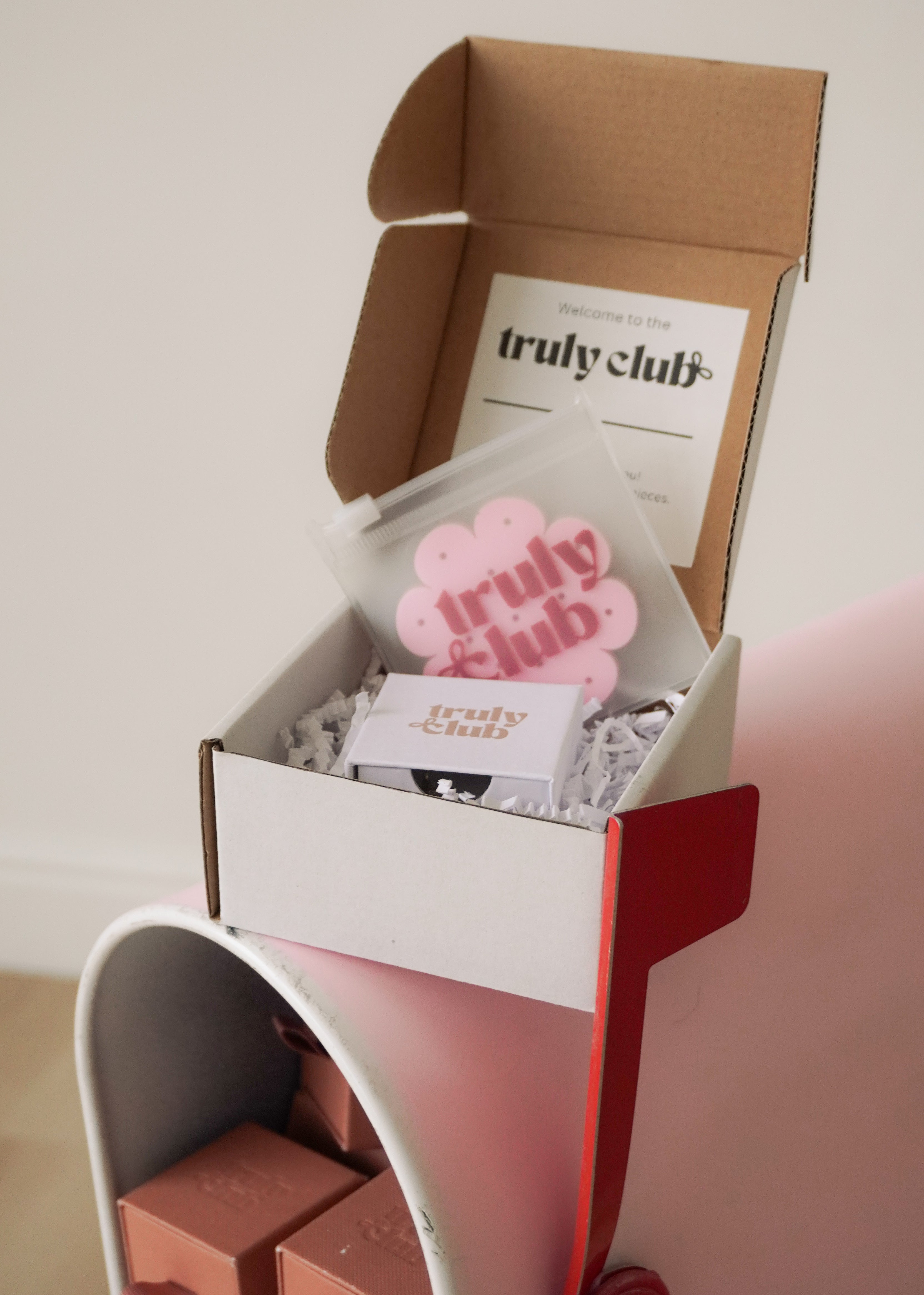 Truly Club/Monthly Jewelry Subscription