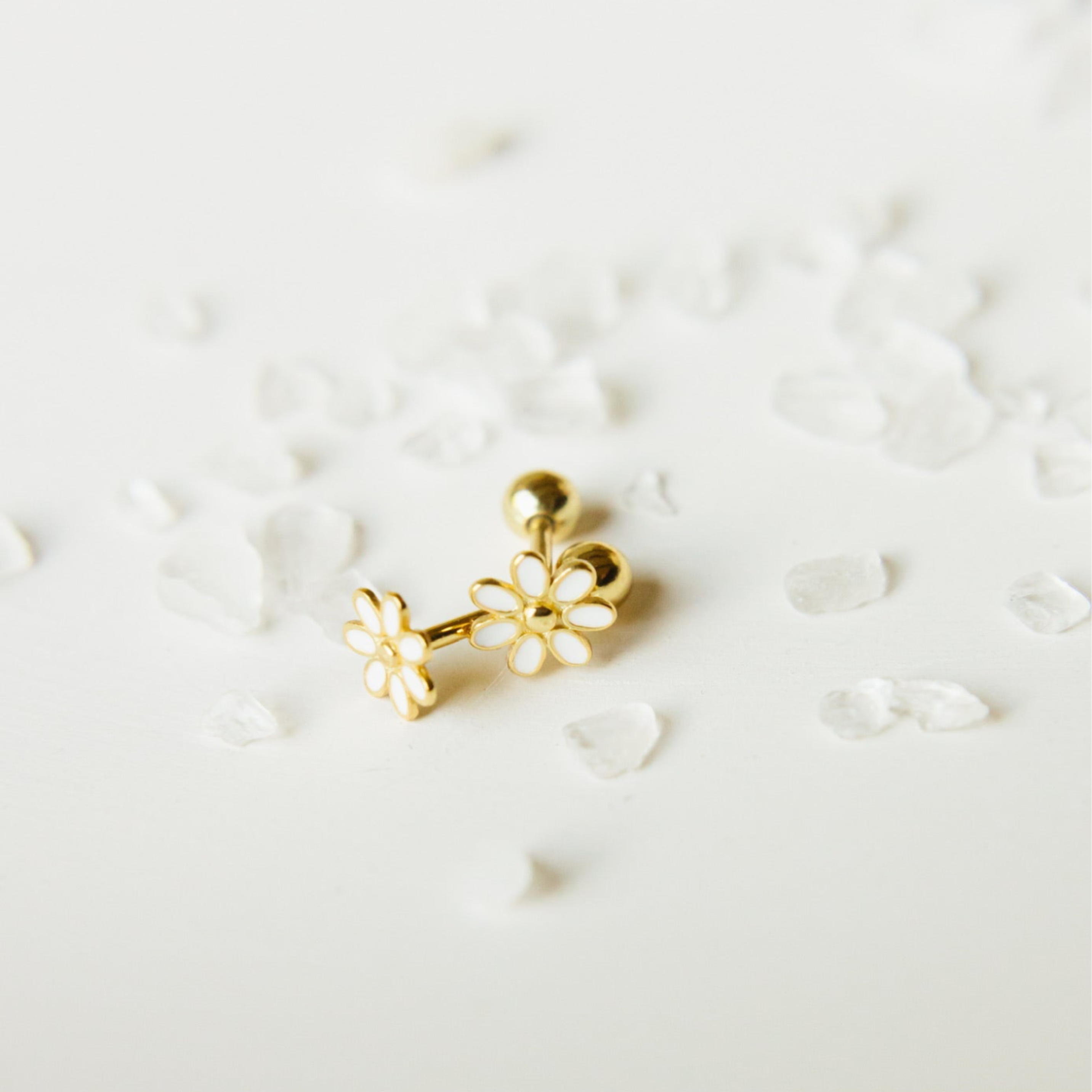 Daisy Screw Back Earrings