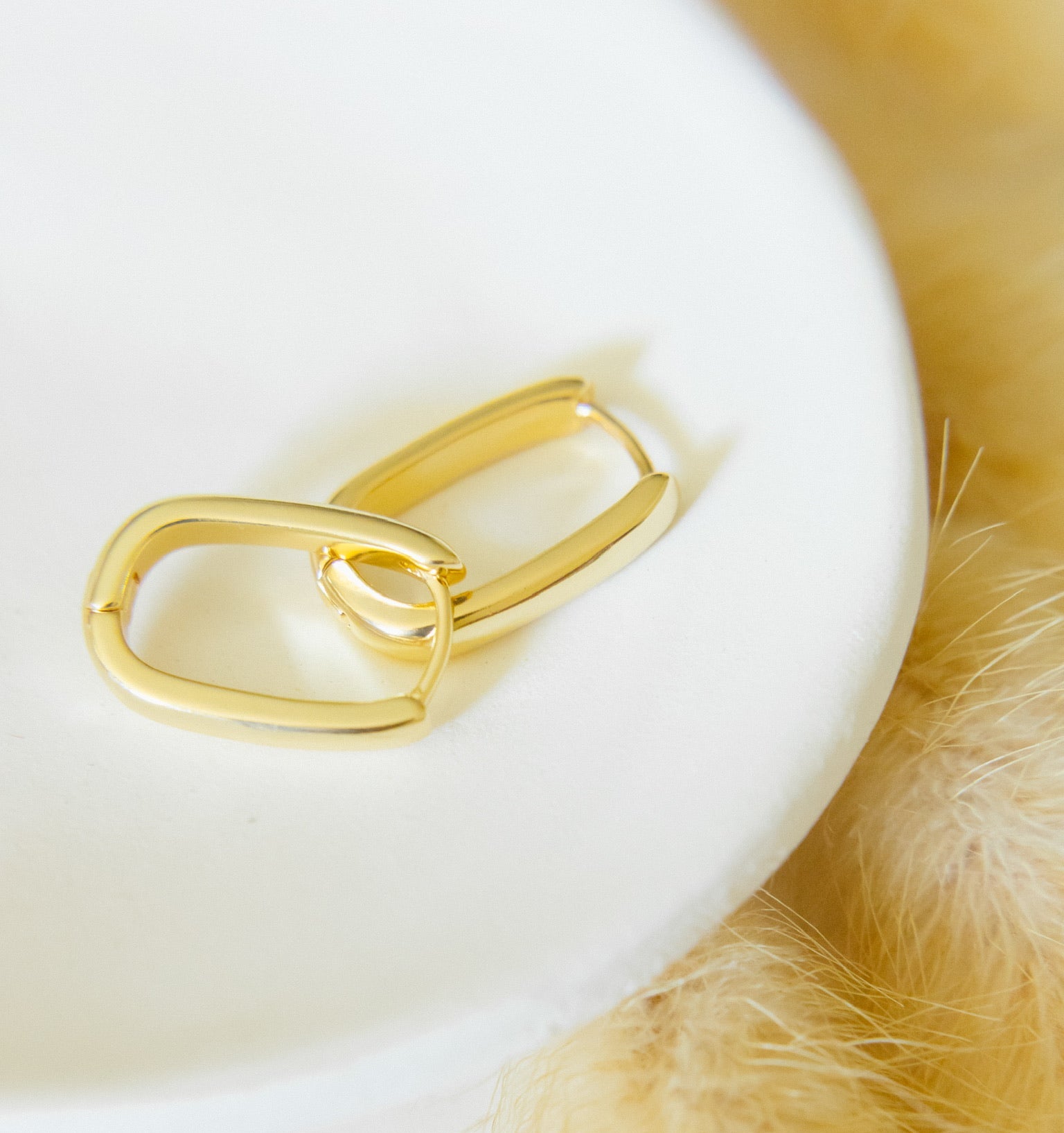 Truly Club/ Hoop of the Month Subscription