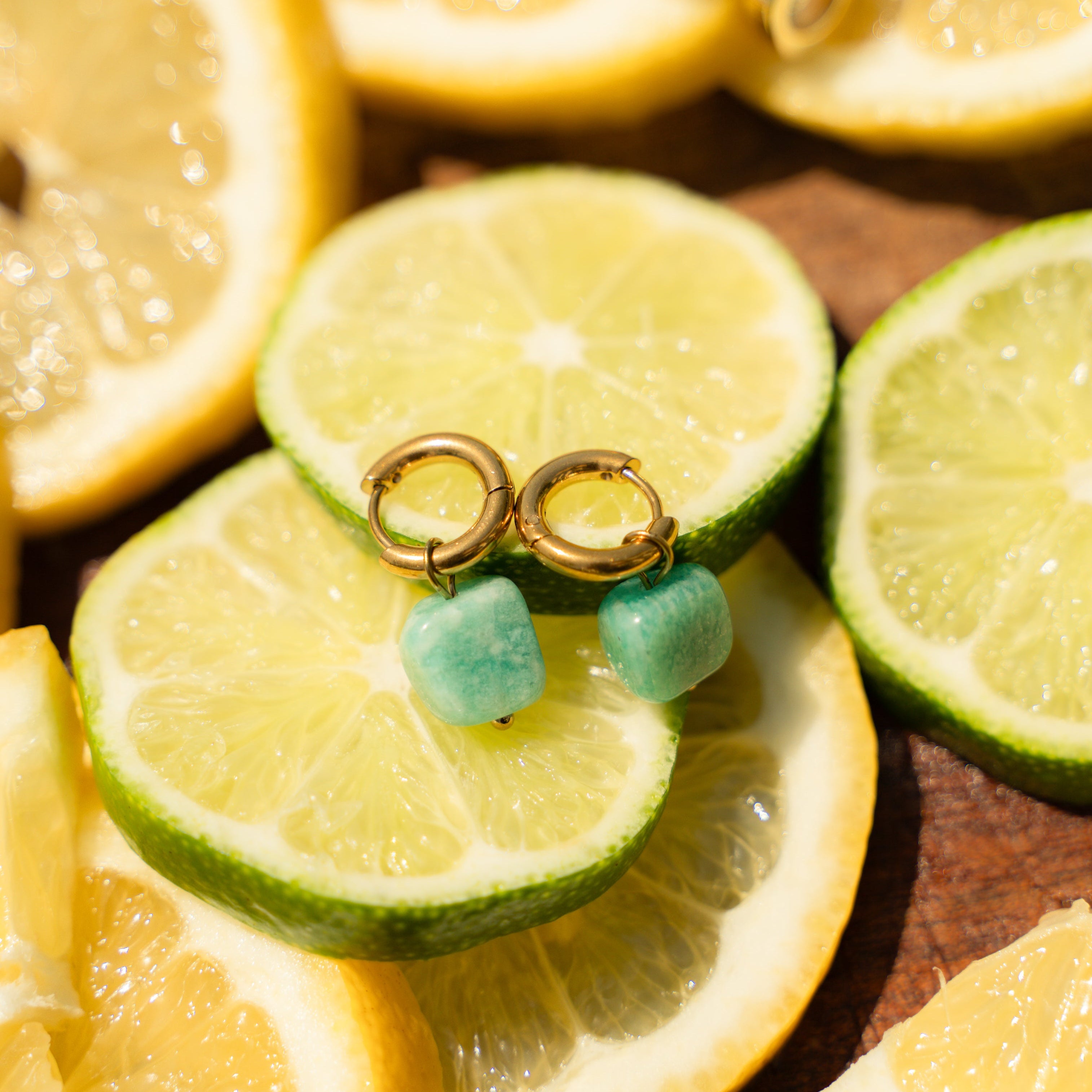 Sea Stone Earrings