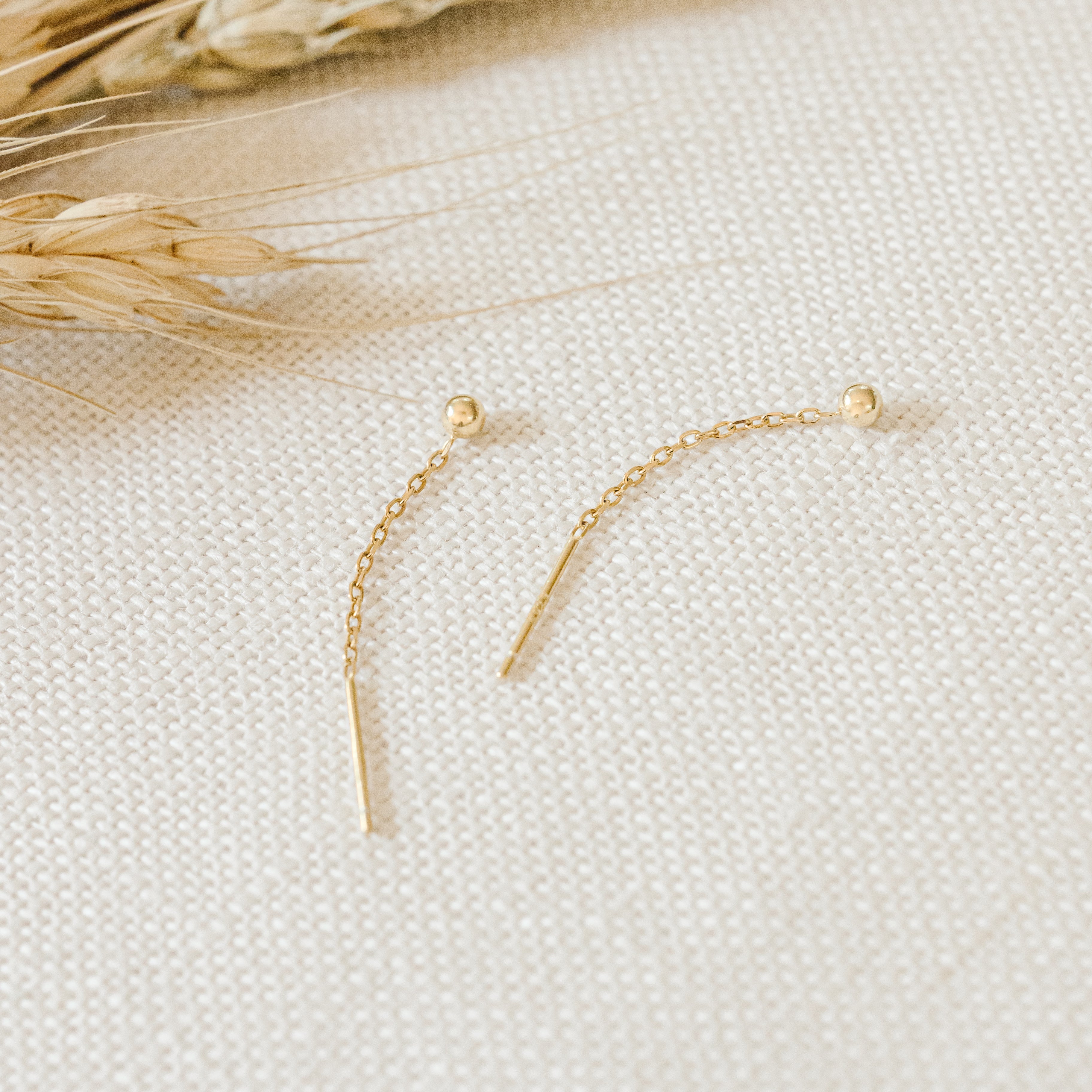 Back Drop Earrings