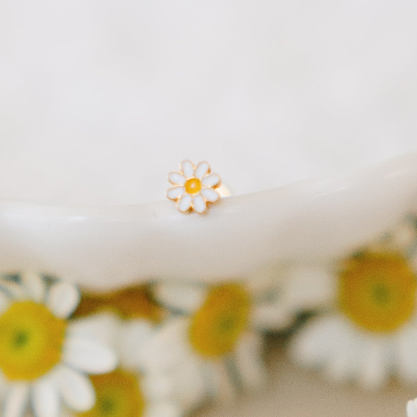 The Blossom