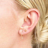 Rainbow Earrings