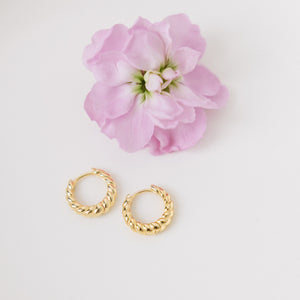 Twisted Gold Hoops