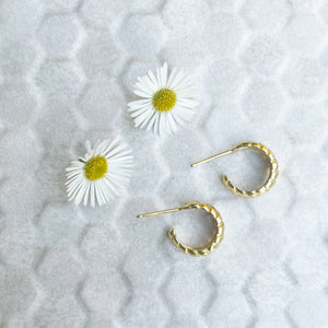 Crescent Hoops