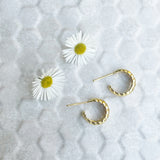 Crescent Hoops